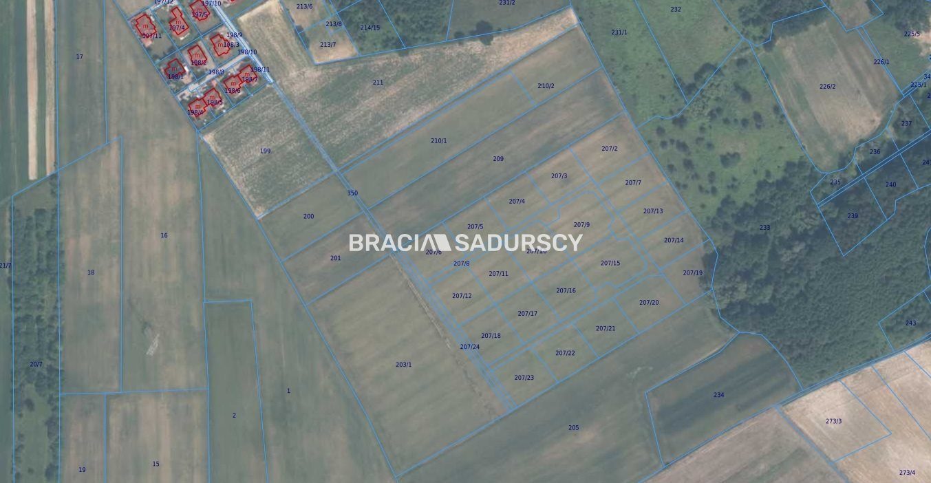 Działka na sprzedaż Michałowice (gw) Młodziejowice 
