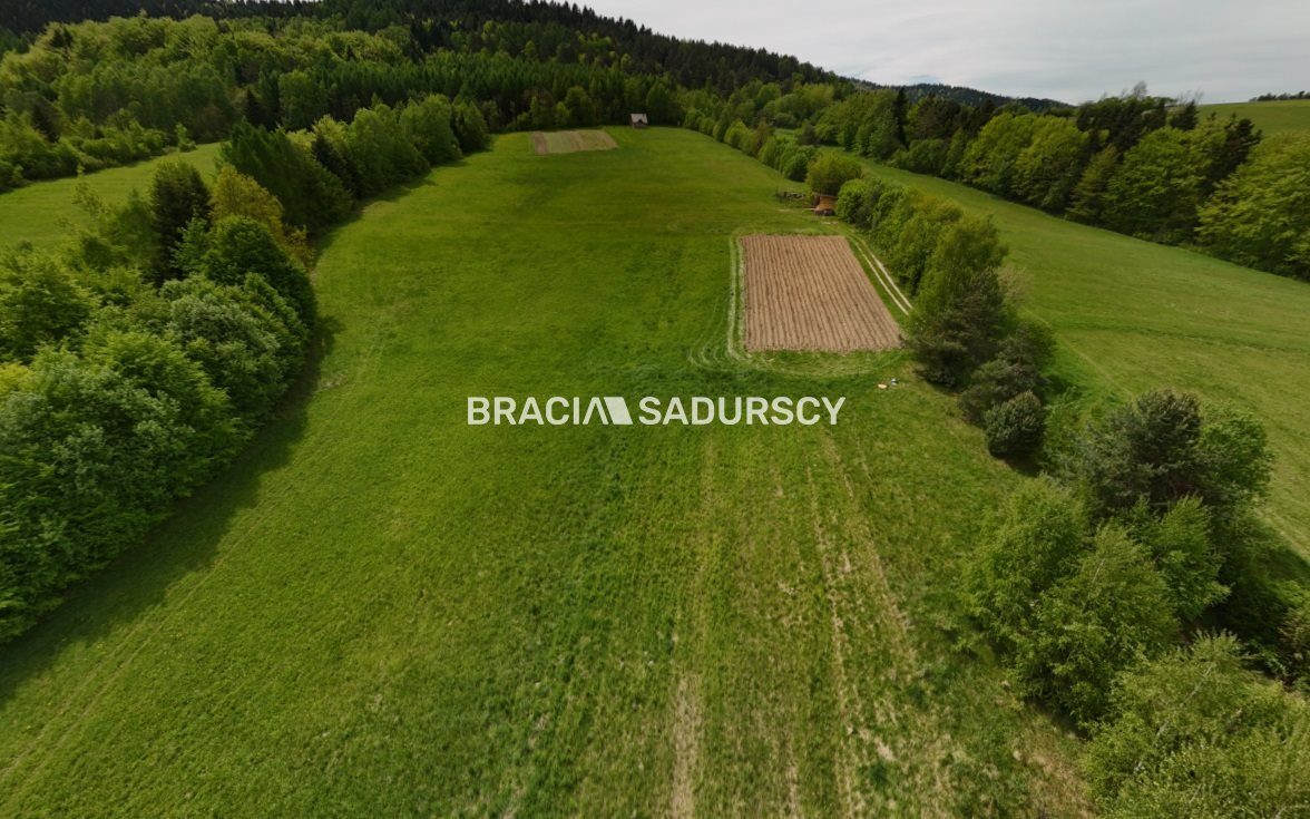 Działka na sprzedaż Kamionka Wielka Bogusza 