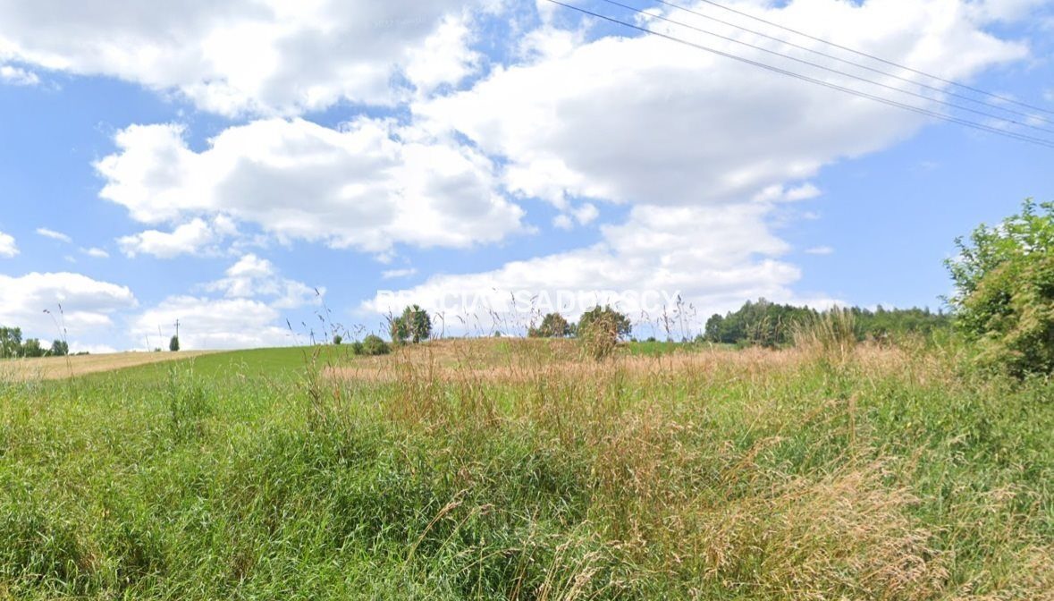 Działka na sprzedaż Michałowice (gw) Młodziejowice 