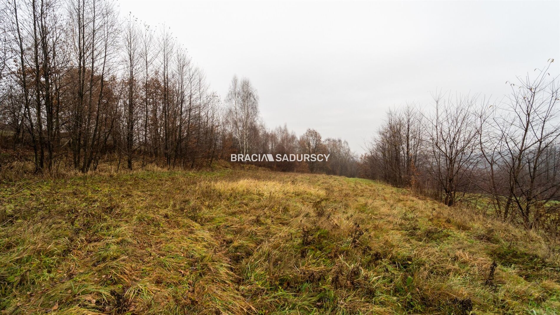 Działka na sprzedaż Wieliczka (gw) Podstolice 
