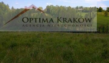 Działka na sprzedaż Raciechowice Dąbie 