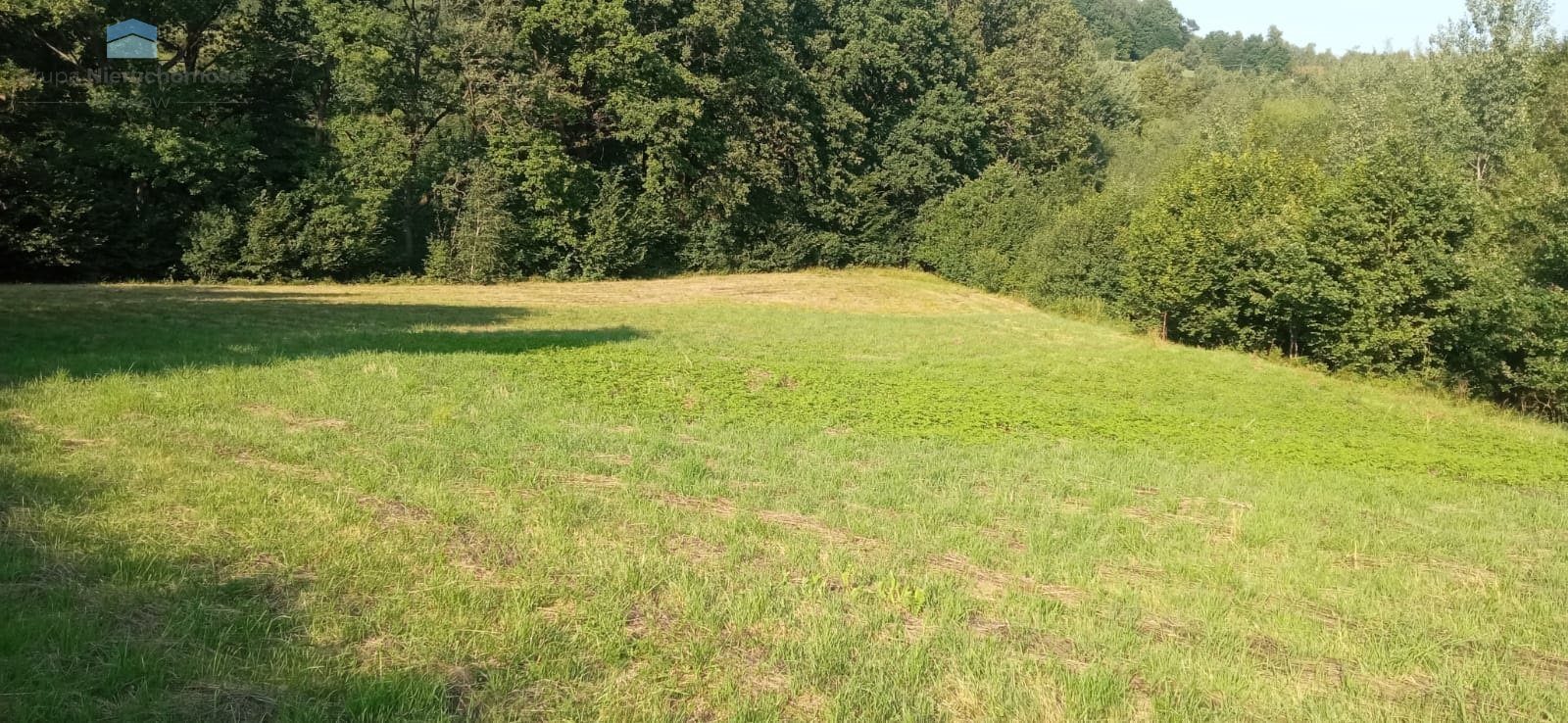 Działka na sprzedaż Mogilany Konary 