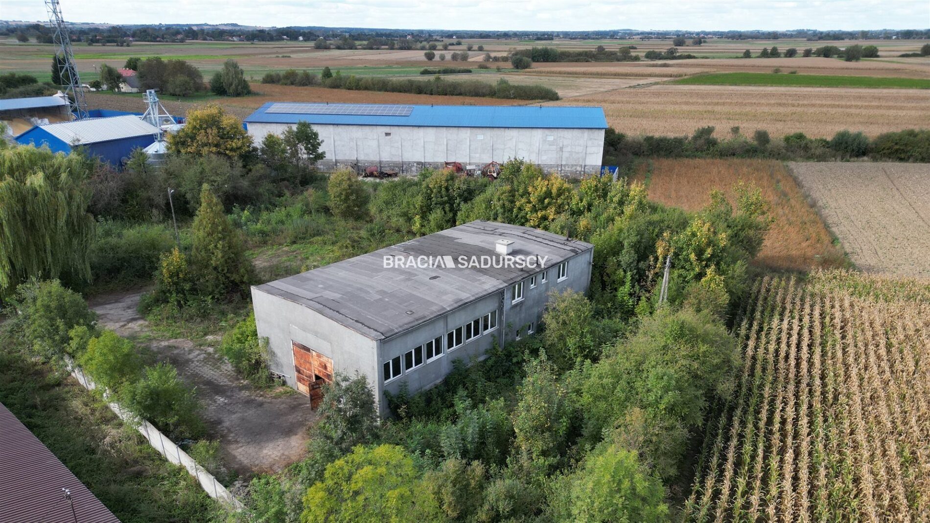Lokal na sprzedaż Żabno (gw) Siedliszowice 