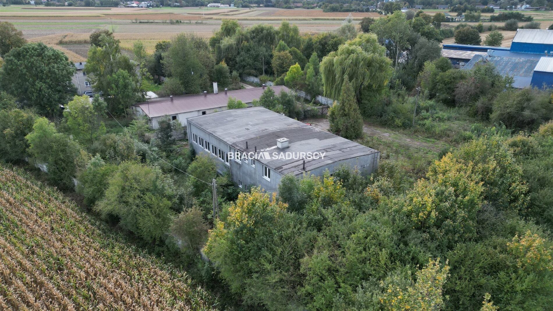 Lokal na sprzedaż Żabno (gw) Siedliszowice 